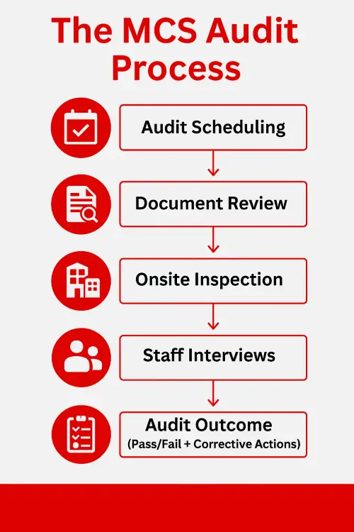 MCS Audit Process infographic